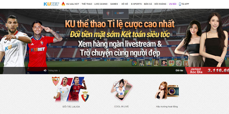Trải nghiệm giải trí hoàn hảo trên mọi nền tảng 